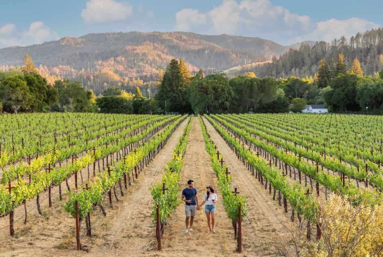 סנט הלנה Alila Napa Valley, A Hyatt Resort מראה חיצוני תמונה