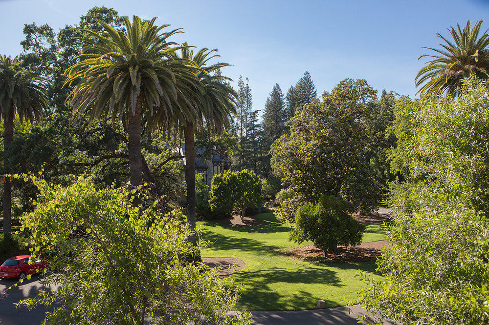 סנט הלנה Alila Napa Valley, A Hyatt Resort מראה חיצוני תמונה