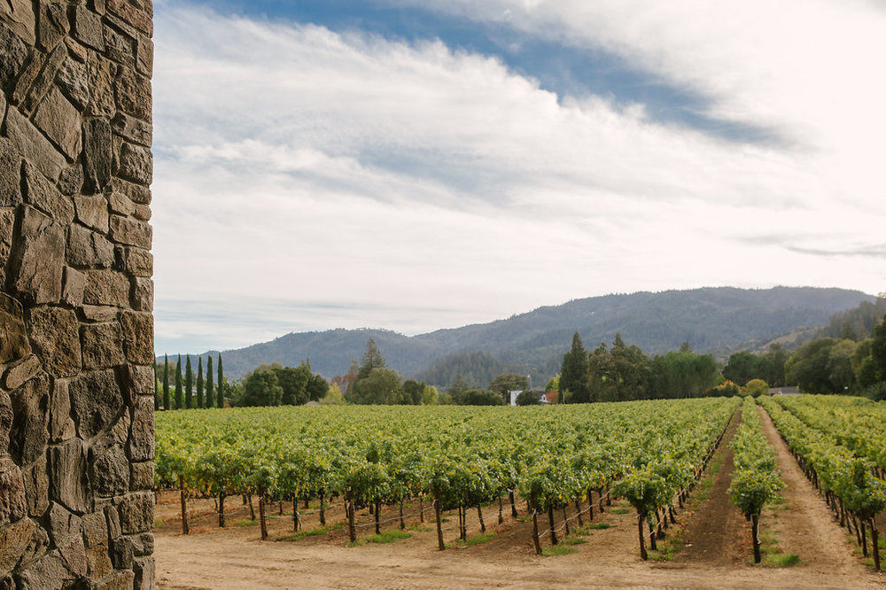 סנט הלנה Alila Napa Valley, A Hyatt Resort מראה חיצוני תמונה