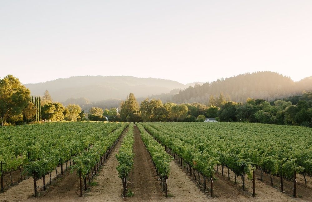 סנט הלנה Alila Napa Valley, A Hyatt Resort מראה חיצוני תמונה