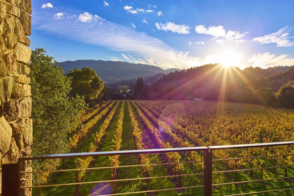 סנט הלנה Alila Napa Valley, A Hyatt Resort מראה חיצוני תמונה